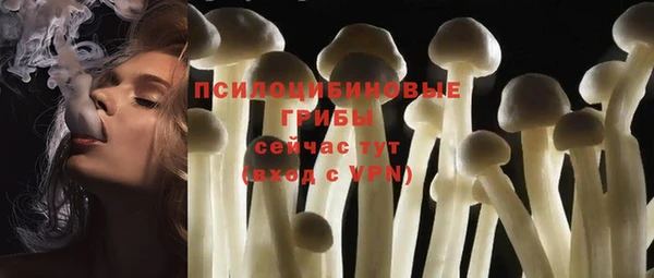 прущий лед Алзамай