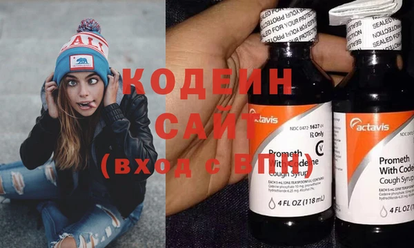 прущий лед Алзамай