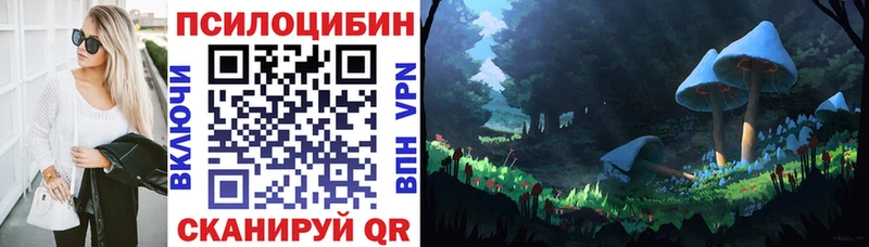 Галлюциногенные грибы Psilocybe Сенгилей
